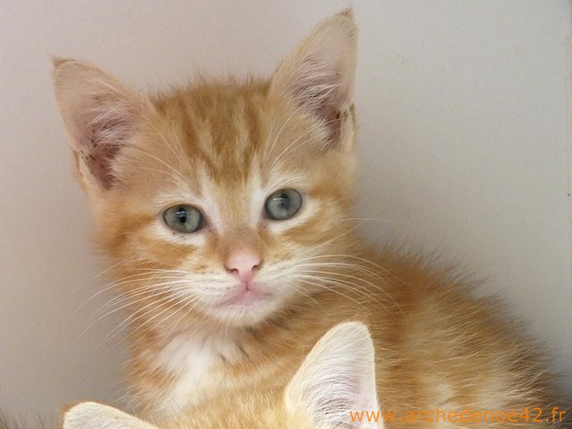 Photo de Hayo