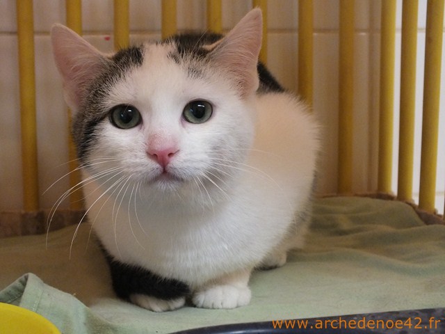 Photo de Hidda