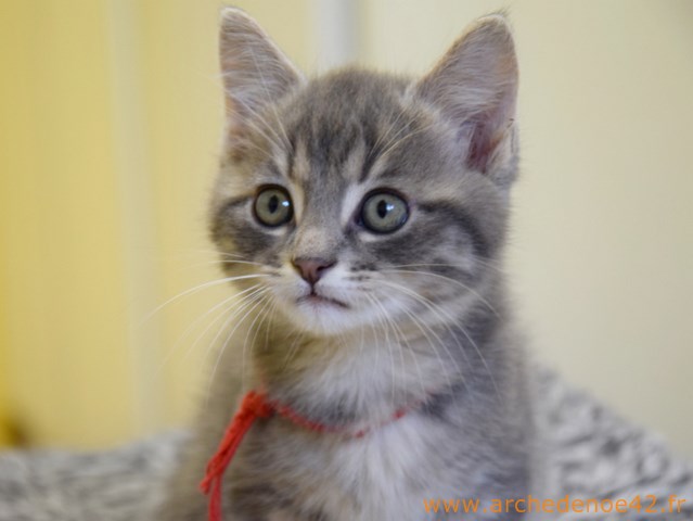 Photo de Luka