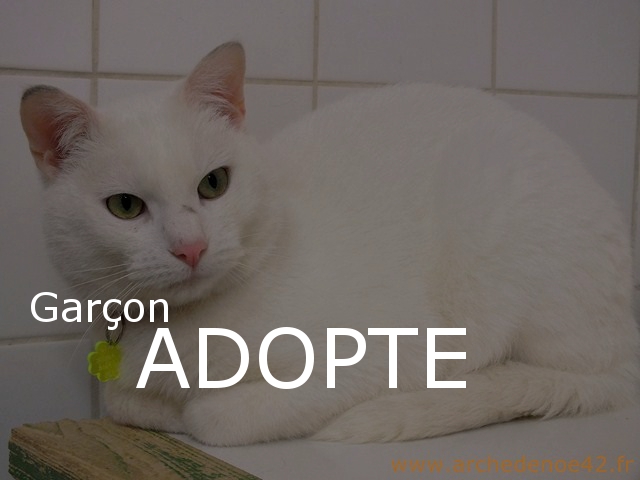 Photo de Garcon