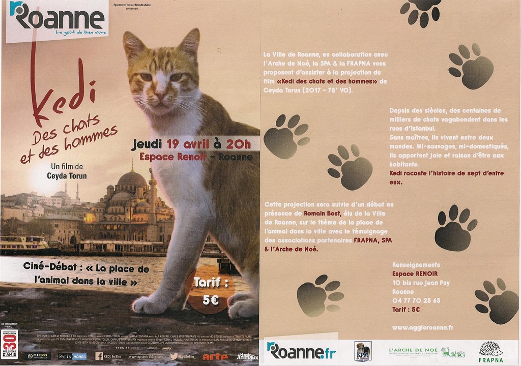 chat roanne